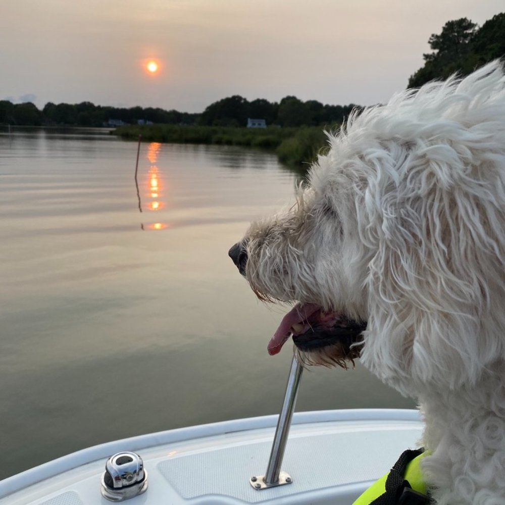 Meet your Posher, Chuck